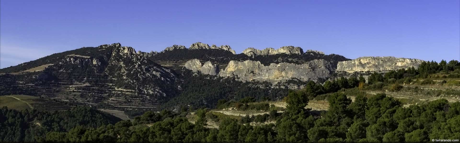 Randonnée pédestre dans le Vaucluse à Saint Hippolyte le Graveyron