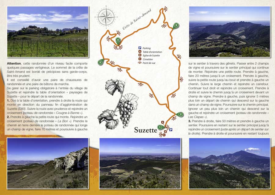 La randonnée pédestre de Suzette dans les Dentelles de Montmirail