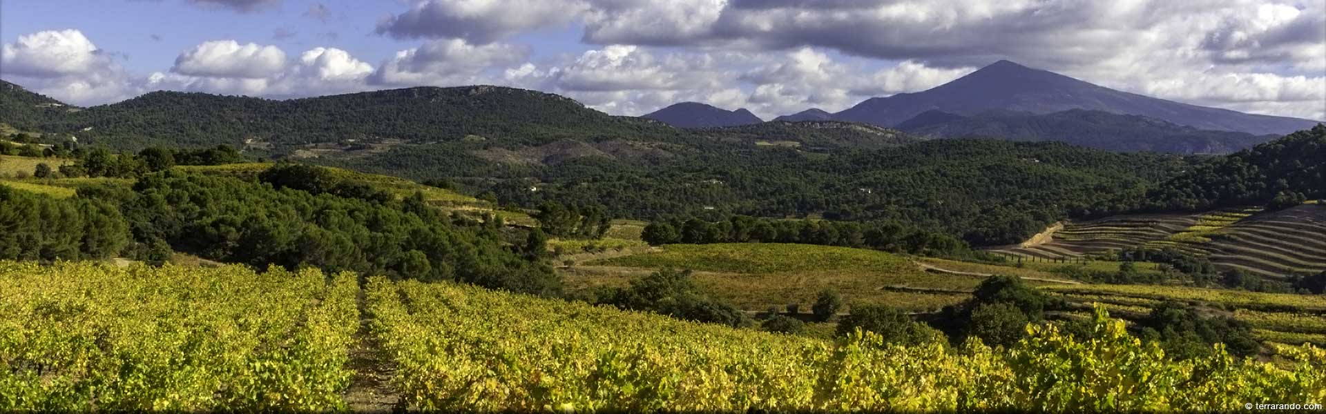 Randonnée pédestre dans le Vaucluse à Suzette