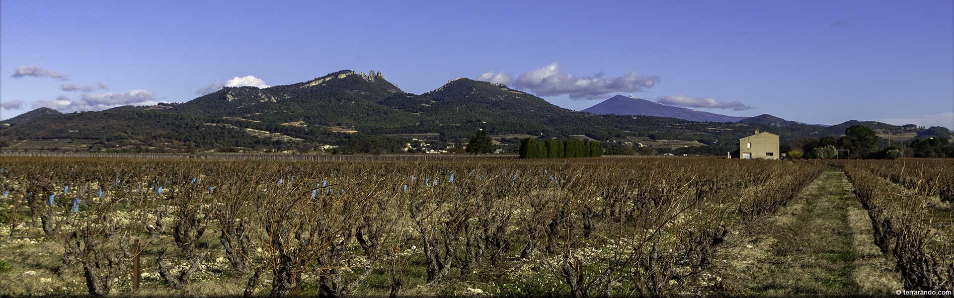 Randonnée de Vacqueyras entre l'Ouvèze et les Dentelles de Montmirail