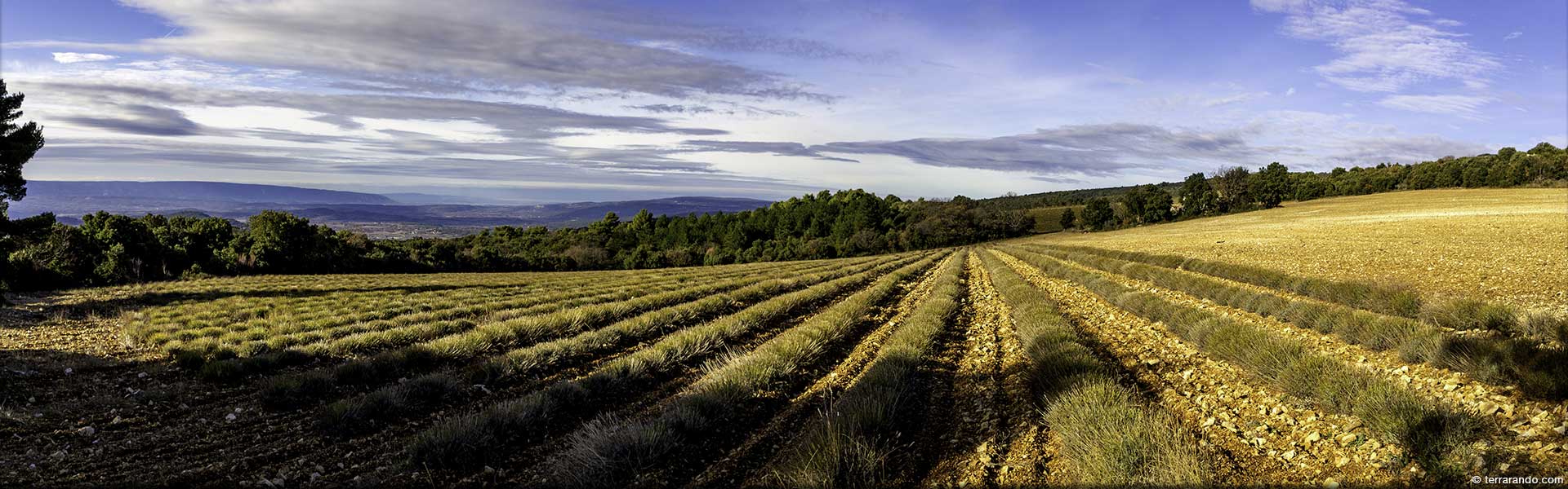 La randonnée dde Villars dans les Monts de Vaucluse et la colline de la Bruyère