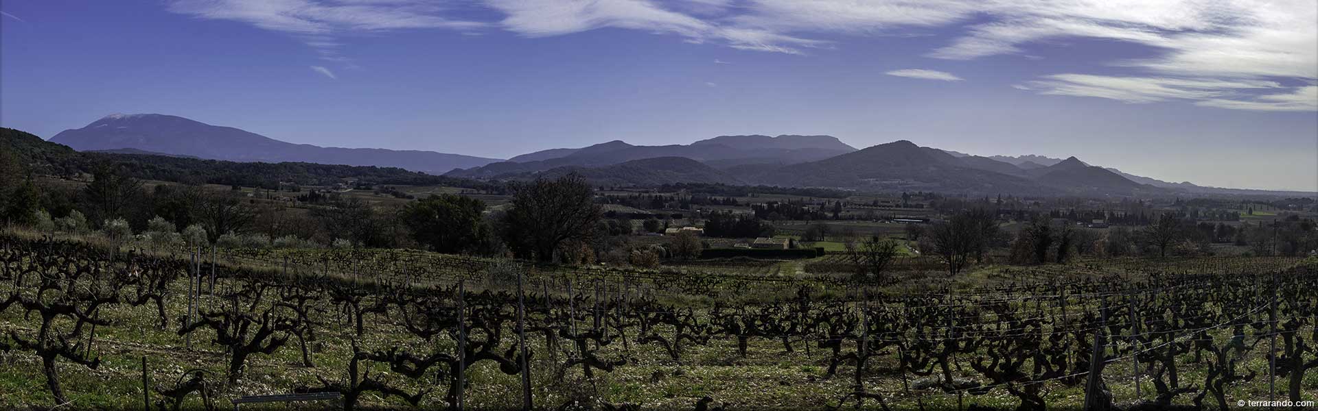 Randonnée de Villedieu dans la vallée du Rhône en Vaucluse