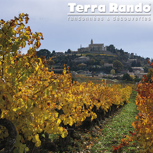 Idées de randonnées dans la vallée du Rhône en Vaucluse